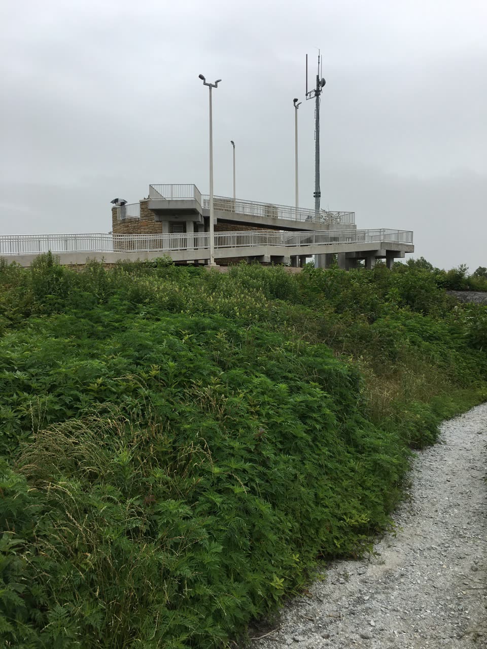 Observation tower on the green summit of Sassafras Mountain